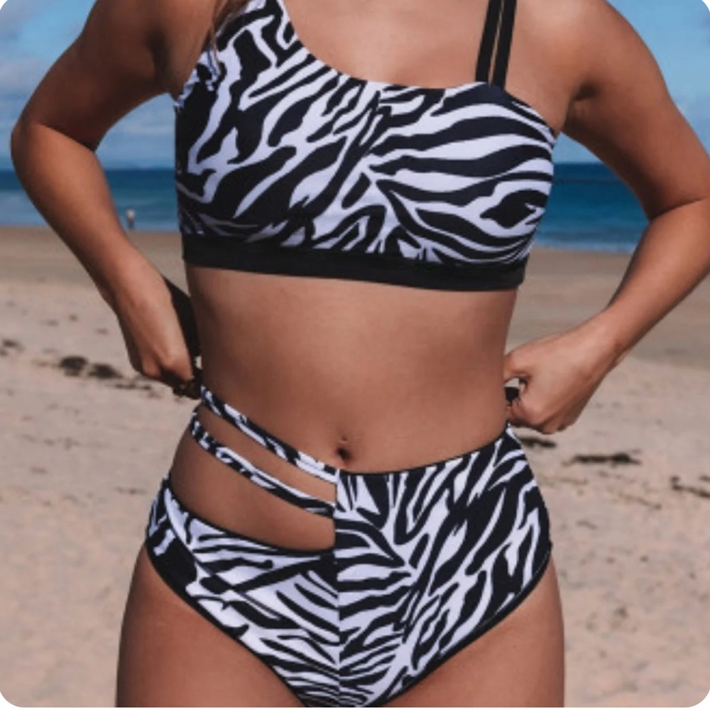Zebra Print Reversible Bottoms Swimwear Set